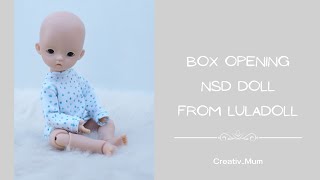 BJD doll Unboxing  NSD BJD doll [upl. by Dorison]