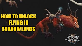 How To Unlock Flying in Shadowlands Pathfinder  Complete Guide [upl. by Thomson]