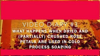 EPISODE  3 VIDEO DIARY WHAT HAPPENS WHEN DRIED ROSE PETALS ARE USED IN COLD PROCESS SOAPING [upl. by Ru718]