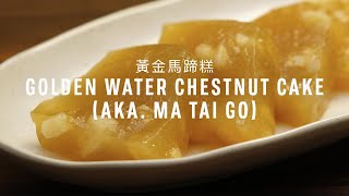 Golden Water Chestnut Cake aka Ma Tai Go Recipe 黃金馬蹄糕 with Papa Fung [upl. by Eenahpets192]