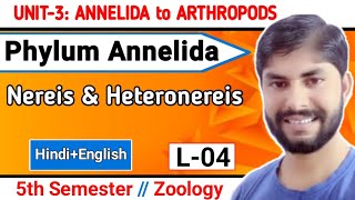 🔴 Live at 9pm।।Annelida L4।।Nereis and Heteronereis।।5th Sem Zoology Unit3।।BSc WorldAmar Singh [upl. by Ailuig]