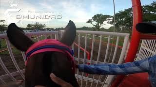 Toñita C Tlapacoyan Jockey Cam Samuel Murillo [upl. by Melgar963]