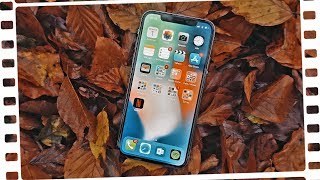 Das missverstandene Telefon  iPhone X  Review [upl. by Ennovahc428]