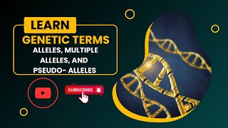 Genetic Terms Alleles Multiple Alleles and Pseudoalleles [upl. by Ahsiakal]