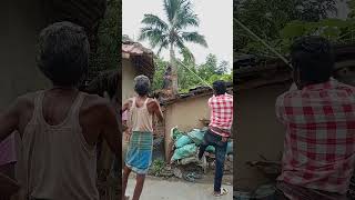 Coconut tree cutting skills coconuttreecuttingskills vlog viralshortsvideo2024 ipiltudu [upl. by Holna]