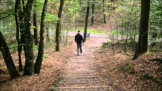 Fietstocht Nationaal park De Hoge Veluwe [upl. by Malik240]