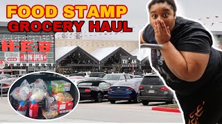 HEB EBT FOODSTAMP GROCERY HAUL FOR A SINGLE MOM OF 4 [upl. by Lig]