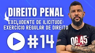 DIREITO PENAL  EXCLUDENTES DE ILICITUDE EXERCÍCIO REGULAR DE DIREITO  CPPEM  PROF EVERTON MOTA [upl. by Talanta]