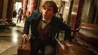 Legendás állatok és megfigyelésük  Magyar szinkronos előzetes 1 6E  Fantastic beasts [upl. by Lemraj33]