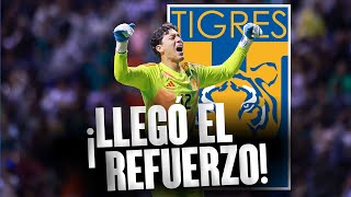 ¡Tigres tiene a su PRIMER REFUERZO para el Apertura 2024  Noticias de Tigres hoy [upl. by Dibrin]