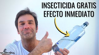 NO LO CONOCES SEGURO ELIMINA PLAGAS EN SEGUNDOS INSECTICIDA CASERO GRATIS Y FÁCIL  en20metros [upl. by Terrene524]