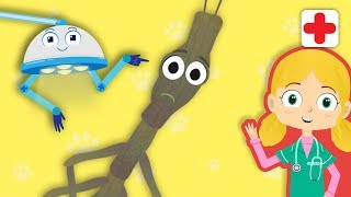 Joe The Stick Insect Visits Dr Poppys Pet Rescue  Animals For Kids [upl. by Ihsoyim]