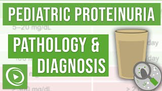 What is Proteinuria and how to diagnose it  Lecturio Pediatrics [upl. by Alena]