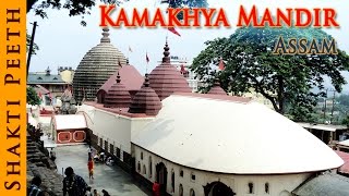 Shakti Peeth  Kamakhya Mandir  Assam  Indian Temple Tours [upl. by Jana793]