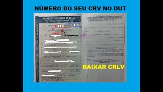 Como consultar CRV de um veículo e baixar CRLV no PC [upl. by Selwyn]