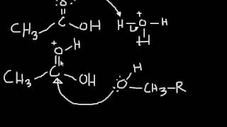 Esterification Mechanism making an ester from a carboxylic acid and an alcohol [upl. by Orimisac]