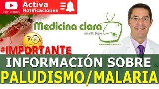 MALARIA 🦟mosquitos😨PALUDISMO ¿puedo MORIR  Medicina Clara [upl. by Akimehs]