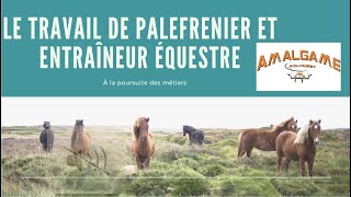 Le travail de palefrenier et entraîneur équestre  À LA POURSUITE DES MÉTIERS [upl. by Lara]