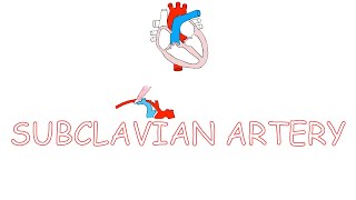 Subclavian artery [upl. by Quinn]