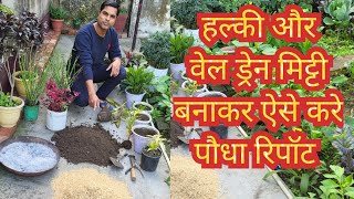 How to make Light Weight and Well Drain Soil  Cheap and Best Soilmix for Pot  Repoting of Plants [upl. by Lyrem]