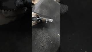 Crossthreaded and broke off Toyota Tacoma alternator bolt It was towed into the shop this way [upl. by Aelahs]