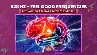 Feel Good Frequencies 528 Hz  Activate Brain Happiness Chemicals  Reduce Stress amp Anxiety [upl. by Deina]