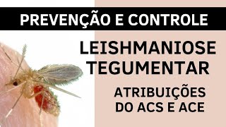 Leishmaniose Tegumentar  Atribuições do Agente de Endemias e do Agente Comunitária de Saúde [upl. by Albion]