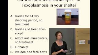 Toxoplasmosis Truth Fiction and Crazy Cat Ladies  full video  conference recording [upl. by Anawait]