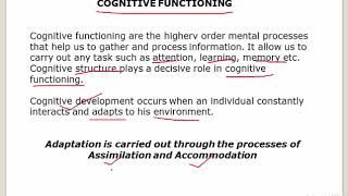 JEAN PIAGETS THEORY OF COGNITIVE DEVELOPMENT PART 1 In Hindi [upl. by Bridges245]