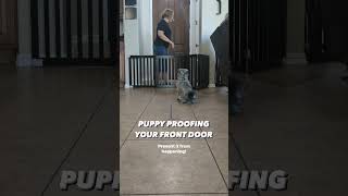 Puppy Proofing the Front Door 🚪🐶 puppyproofing dogsafety [upl. by Edelson]