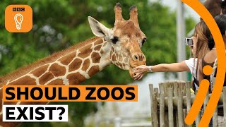 Should zoos exist  BBC Ideas [upl. by Duky]