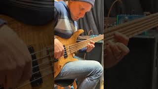 New Nordstrand Multi Coil 5 string pickup demo 1 [upl. by Lebiram]