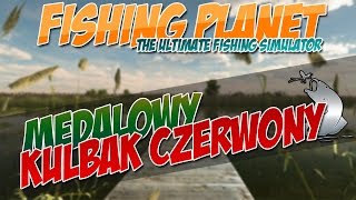 Fishing Planet Poradnik ✖ Floryda  Everglades 18  Medalowy Kulbak Czerwony [upl. by Furgeson]