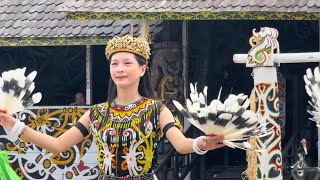 Suku dayak kenyah kalimantan timur [upl. by Yajiv]