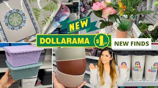 Dollarama Dollar Store Canada Finds For Home Kitchen Pantry organizers Dinnerware Decor dollarama [upl. by Leckie159]