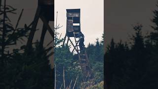 Mid walk break in stalking tower hike scotland coffee shelter deerhunting [upl. by Atiuqiram904]