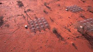 Aerial view of the Murchison Widefield Array MWA low flyover on a sunny day [upl. by Silvia]