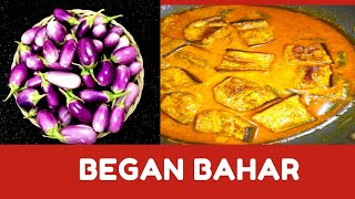 Begun Bahar Recipe  Began Bahar Begun Bahar Bengali Recipe  Brinjal Recipe  Began Ka Sabji [upl. by Anirec]