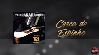 Cerca de espinho Trio Parada Dura Lyric Vídeo [upl. by Adni482]