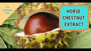 Horse Chestnut Extract Benefits for Men  Improves Vein Health and Reduces Inflammation [upl. by Aennyl48]