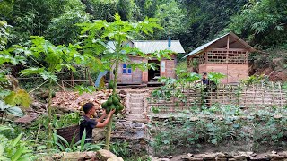 Care for and harvest vegetables in the garden Build dikes to prevent rain and landslides [upl. by Eilac598]