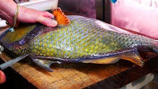 Japanese Street Food  GIANT TITAN TRIGGERFISH Sashimi Seafood Okinawa Japan [upl. by Anam]