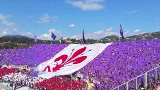 Fiorentina  Genoa 140914 Coreografia curva Fiesole  inno Fiorentina cantato dai tifosi [upl. by Okier]