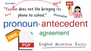 Pronoun Antecedent Agreement in English Grammar [upl. by Fortuna]