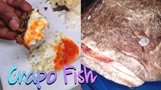 Bizarre Food Trinidad  Oyster Toad Fish or Crapo Fish [upl. by Stover]