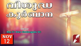 SUNDAY HOLY MASS LIVE  6 AM 12 NOV 2023Fr Alex Chalangady VCMALAYALAM QURBANATODAYGOODNESS TV [upl. by Viola]