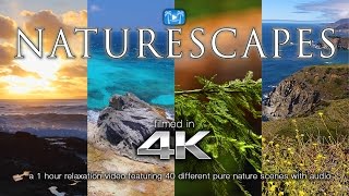 40 NATURESCAPES IN 4K  1 HR Nature Relaxation™ Video [upl. by Dew]