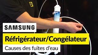 Causes possibles de fuites deau externes sur un réfrigérateur congélateur Samsung [upl. by Hodgkinson974]