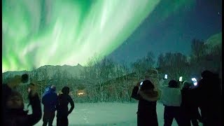 🇳🇴Chasing Lights in Tromsø Norway [upl. by Alo]