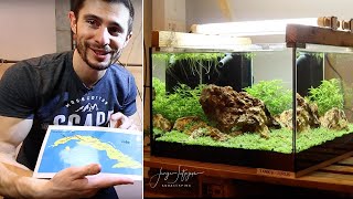 AQUASCAPING with ONLY 3 PLANTS  all discovered by Holger Windeløv in Cuba 🇨🇺 [upl. by Charyl]